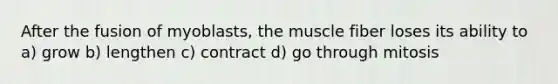 After the fusion of myoblasts, the muscle fiber loses its ability to a) grow b) lengthen c) contract d) go through mitosis