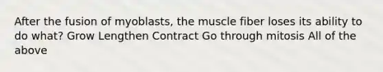 After the fusion of myoblasts, the muscle fiber loses its ability to do what? Grow Lengthen Contract Go through mitosis All of the above