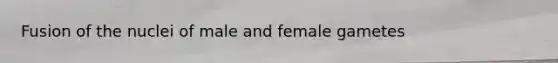 Fusion of the nuclei of male and female gametes