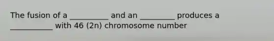 The fusion of a __________ and an _________ produces a ___________ with 46 (2n) chromosome number