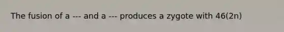 The fusion of a --- and a --- produces a zygote with 46(2n)