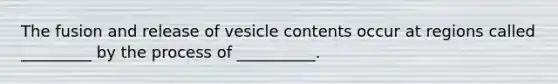 The fusion and release of vesicle contents occur at regions called _________ by the process of __________.