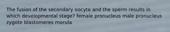 The fusion of the secondary oocyte and the sperm results in which developmental stage? female pronucleus male pronucleus zygote blastomeres morula