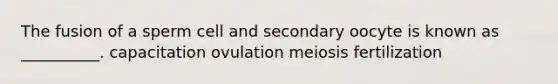 The fusion of a sperm cell and secondary oocyte is known as __________. capacitation ovulation meiosis fertilization