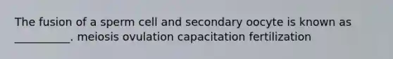 The fusion of a sperm cell and secondary oocyte is known as __________. meiosis ovulation capacitation fertilization