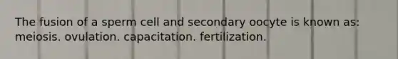 The fusion of a sperm cell and secondary oocyte is known as: meiosis. ovulation. capacitation. fertilization.