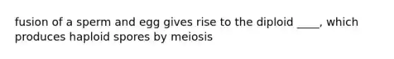 fusion of a sperm and egg gives rise to the diploid ____, which produces haploid spores by meiosis