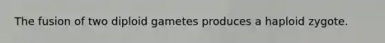 The fusion of two diploid gametes produces a haploid zygote.