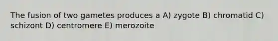 The fusion of two gametes produces a A) zygote B) chromatid C) schizont D) centromere E) merozoite