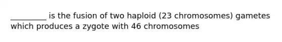 _________ is the fusion of two haploid (23 chromosomes) gametes which produces a zygote with 46 chromosomes