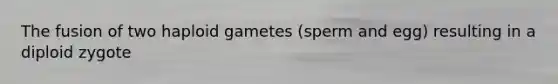 The fusion of two haploid gametes (sperm and egg) resulting in a diploid zygote