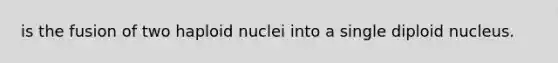 is the fusion of two haploid nuclei into a single diploid nucleus.