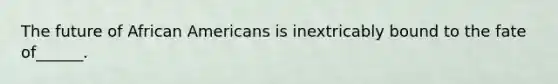 The future of African Americans is inextricably bound to the fate of______.