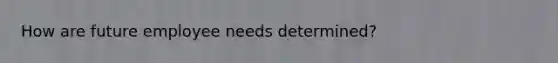 How are future employee needs determined?