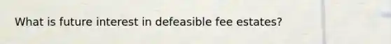 What is future interest in defeasible fee estates?