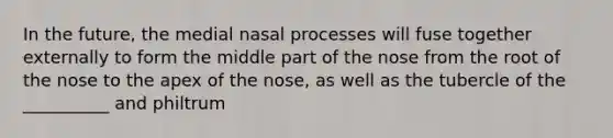 In the future, the medial nasal processes will fuse together externally to form the middle part of the nose from the root of the nose to the apex of the nose, as well as the tubercle of the __________ and philtrum