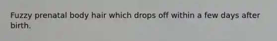 Fuzzy prenatal body hair which drops off within a few days after birth.