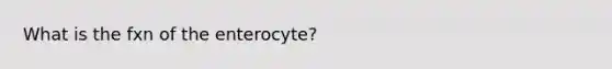 What is the fxn of the enterocyte?