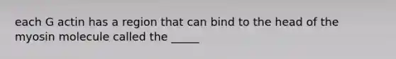 each G actin has a region that can bind to the head of the myosin molecule called the _____