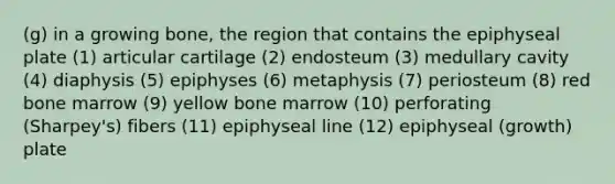 (g) in a growing bone, the region that contains the epiphyseal plate (1) articular cartilage (2) endosteum (3) medullary cavity (4) diaphysis (5) epiphyses (6) metaphysis (7) periosteum (8) red bone marrow (9) yellow bone marrow (10) perforating (Sharpey's) fibers (11) epiphyseal line (12) epiphyseal (growth) plate