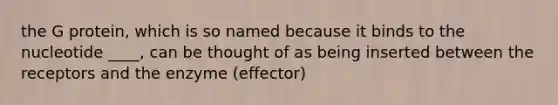 the G protein, which is so named because it binds to the nucleotide ____, can be thought of as being inserted between the receptors and the enzyme (effector)