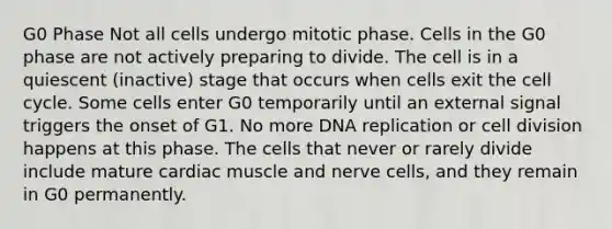 G0 Phase Not all cells undergo mitotic phase. Cells in the G0 phase are not actively preparing to divide. The cell is in a quiescent (inactive) stage that occurs when cells exit the cell cycle. Some cells enter G0 temporarily until an external signal triggers the onset of G1. No more DNA replication or cell division happens at this phase. The cells that never or rarely divide include mature cardiac muscle and nerve cells, and they remain in G0 permanently.