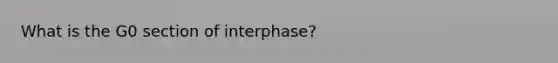 What is the G0 section of interphase?