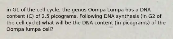 in G1 of the cell cycle, the genus Oompa Lumpa has a DNA content (C) of 2.5 picograms. Following DNA synthesis (in G2 of the cell cycle) what will be the DNA content (in picograms) of the Oompa lumpa cell?