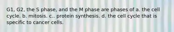 G1, G2, the S phase, and the M phase are phases of a. the cell cycle. b. mitosis. c.. protein synthesis. d. the cell cycle that is specific to cancer cells.