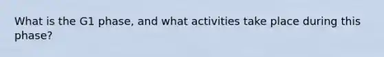 What is the G1 phase, and what activities take place during this phase?