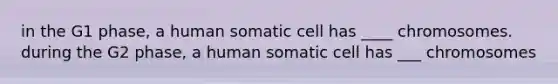 in the G1 phase, a human somatic cell has ____ chromosomes. during the G2 phase, a human somatic cell has ___ chromosomes