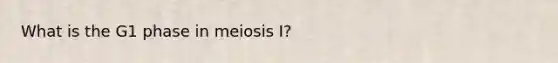 What is the G1 phase in meiosis I?