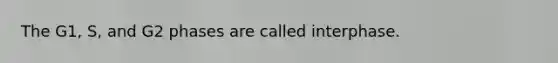 The G1, S, and G2 phases are called interphase.