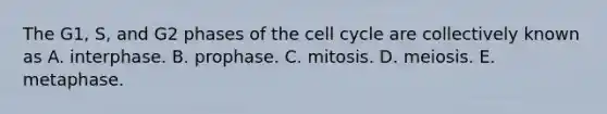 The G1, S, and G2 phases of the <a href='https://www.questionai.com/knowledge/keQNMM7c75-cell-cycle' class='anchor-knowledge'>cell cycle</a> are collectively known as A. interphase. B. prophase. C. mitosis. D. meiosis. E. metaphase.