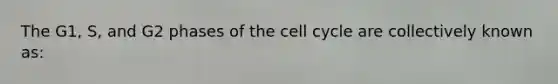 The G1, S, and G2 phases of the cell cycle are collectively known as: