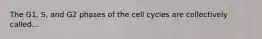 The G1, S, and G2 phases of the cell cycles are collectively called...