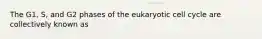 The G1, S, and G2 phases of the eukaryotic cell cycle are collectively known as