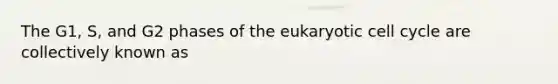 The G1, S, and G2 phases of the eukaryotic cell cycle are collectively known as