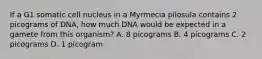 If a G1 somatic cell nucleus in a Myrmecia pilosula contains 2 picograms of DNA, how much DNA would be expected in a gamete from this organism? A. 8 picograms B. 4 picograms C. 2 picograms D. 1 picogram