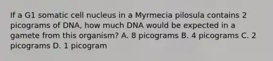 If a G1 somatic <a href='https://www.questionai.com/knowledge/ksZq6y1LRD-cell-nucleus' class='anchor-knowledge'>cell nucleus</a> in a Myrmecia pilosula contains 2 picograms of DNA, how much DNA would be expected in a gamete from this organism? A. 8 picograms B. 4 picograms C. 2 picograms D. 1 picogram