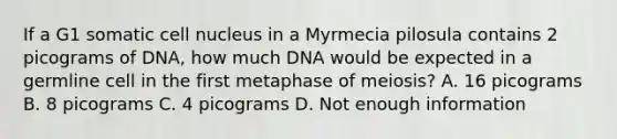 If a G1 somatic cell nucleus in a Myrmecia pilosula contains 2 picograms of DNA, how much DNA would be expected in a germline cell in the first metaphase of meiosis? A. 16 picograms B. 8 picograms C. 4 picograms D. Not enough information