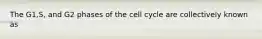 The G1,S, and G2 phases of the cell cycle are collectively known as