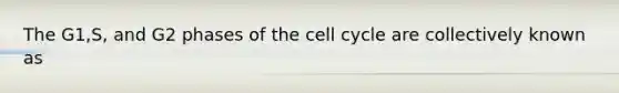 The G1,S, and G2 phases of the cell cycle are collectively known as