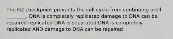 The G2 checkpoint prevents the cell cycle from continuing until ________. DNA is completely replicated damage to DNA can be repaired replicated DNA is separated DNA is completely replicated AND damage to DNA can be repaired