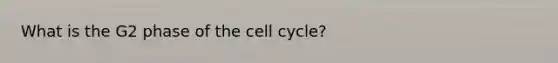 What is the G2 phase of the cell cycle?