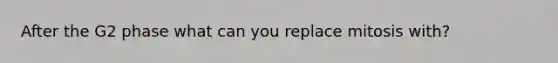 After the G2 phase what can you replace mitosis with?
