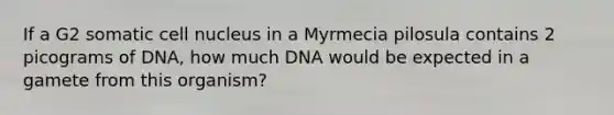 If a G2 somatic cell nucleus in a Myrmecia pilosula contains 2 picograms of DNA, how much DNA would be expected in a gamete from this organism?