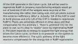 Of the G3P generate in the Calvin cycle, 5/6 will be used to regenerate RuBP. A company manufacturing widgets would go out of business if 5/6 of the widgets were recycled at the manufacturing site rather than being sold. And yet plants survive this extreme inefficiency. Why? a. Actually, 5/6 of the G3P is used to build glucose and only 1/6 of the G3P is needed to regenerate RuBP b. Plants are extremely efficient in other ways and that compensates for this anomaly c. There is unlimited CO2 for the plant to use, so it's okay to "waste" some by regenerating RuBP d. The plant expends no energy to acquire the light energy that drives the Calvin cycle, so there is no pressure on the system to become more efficient e. The cyclic pathway of the light reactions compensates for the energy lost in RuBP regeneration