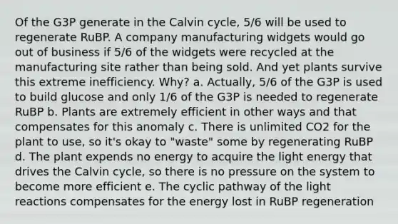 Of the G3P generate in the Calvin cycle, 5/6 will be used to regenerate RuBP. A company manufacturing widgets would go out of business if 5/6 of the widgets were recycled at the manufacturing site rather than being sold. And yet plants survive this extreme inefficiency. Why? a. Actually, 5/6 of the G3P is used to build glucose and only 1/6 of the G3P is needed to regenerate RuBP b. Plants are extremely efficient in other ways and that compensates for this anomaly c. There is unlimited CO2 for the plant to use, so it's okay to "waste" some by regenerating RuBP d. The plant expends no energy to acquire the light energy that drives the Calvin cycle, so there is no pressure on the system to become more efficient e. The cyclic pathway of the light reactions compensates for the energy lost in RuBP regeneration