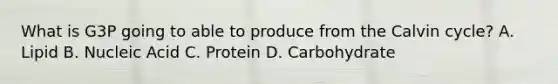 What is G3P going to able to produce from the Calvin cycle? A. Lipid B. Nucleic Acid C. Protein D. Carbohydrate